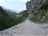 Rute / Greuth - Podgorska planina / Maria Elender Alm